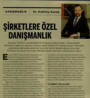 Şirketlere Özel Danışmanlık