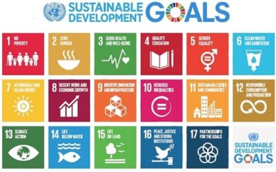 Türkiye Kalkınma Bakanlığı – Sürdürülebilir Kalkınma Hedefleri (SDG) Projesi