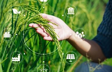2023 Yılı Gıda Enflasyonu ve Tarımda Sürdürülebilir Politika Tasarımı