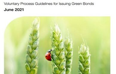Yeşil Tahvil Prensipleri (GBP) 2021 Güncellemesi: Yeşil Tahvil Piyasası İçin Ne Getiriyor?