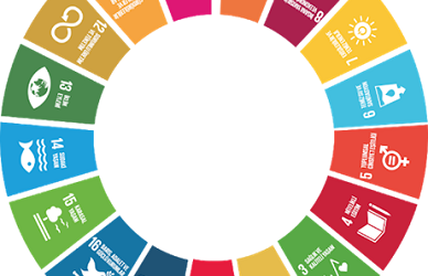 Birleşmiş Milletler Kalkınma Programı (UNDP) ve Sürdürülebilirlik Faaliyetleri