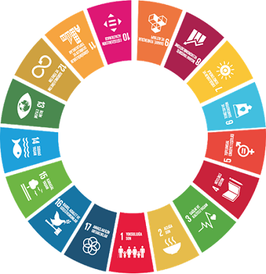 Birleşmiş Milletler Kalkınma Programı (UNDP) ve Sürdürülebilirlik Faaliyetleri