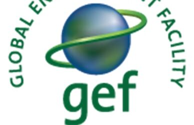 Küresel Çevre Fonu (GEF – The Global Environment Facility)