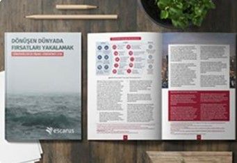 SÜRDÜRÜLEBİLİR FİNANS YÖNETİMİ