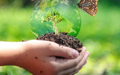 Biyoçeşitlilik ve Doğa Finansmanında Bizi Neler Bekliyor?