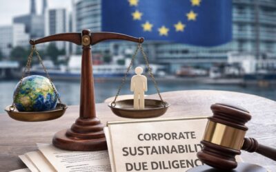 Yeni Bir İş Modeli Olarak Kurumsal Sürdürülebilirlik Özen Yükümlülüğü